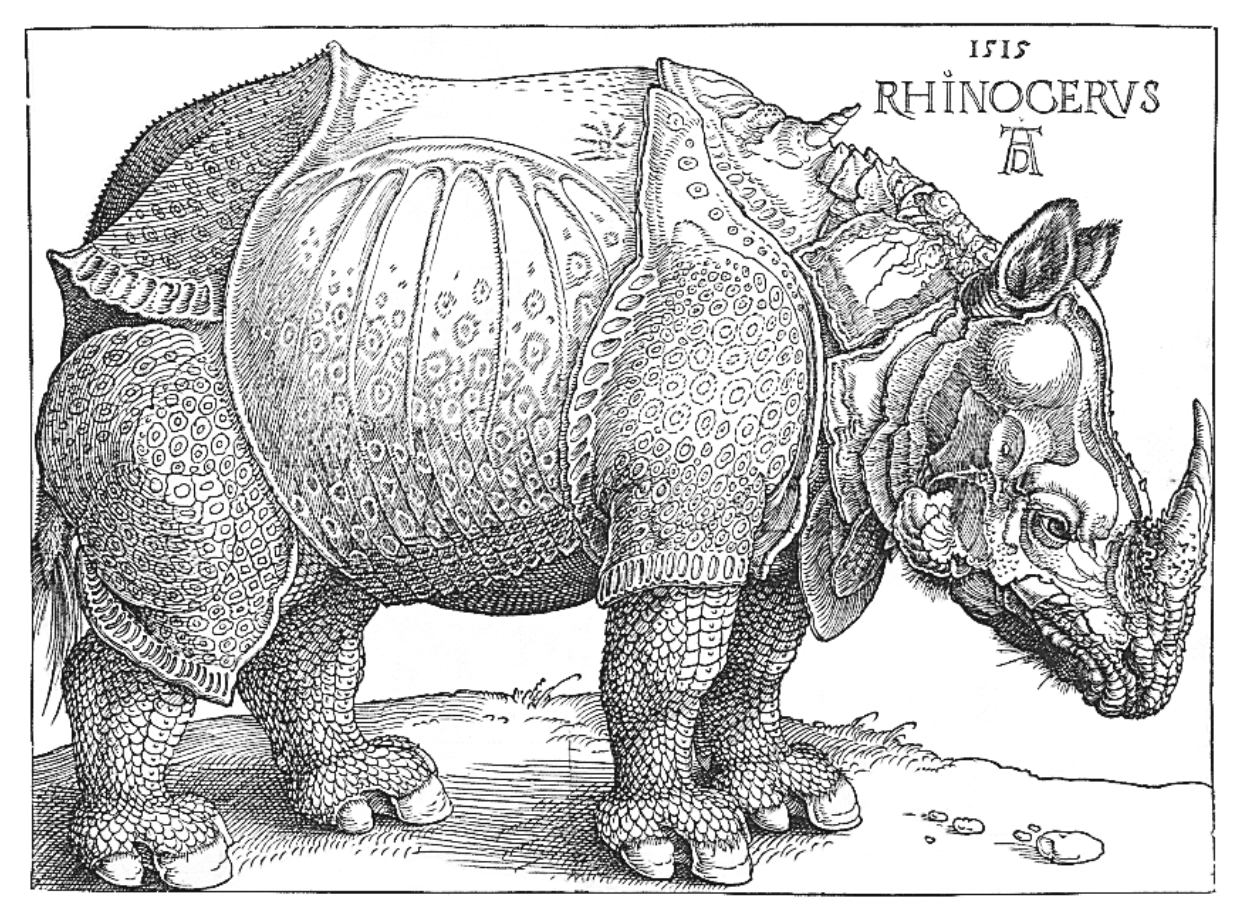 rhino time